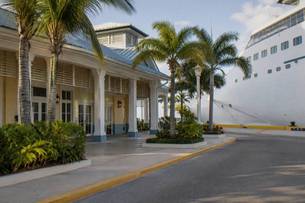 Cruise ships docked at a waterfront terminal with palm trees along the quay
