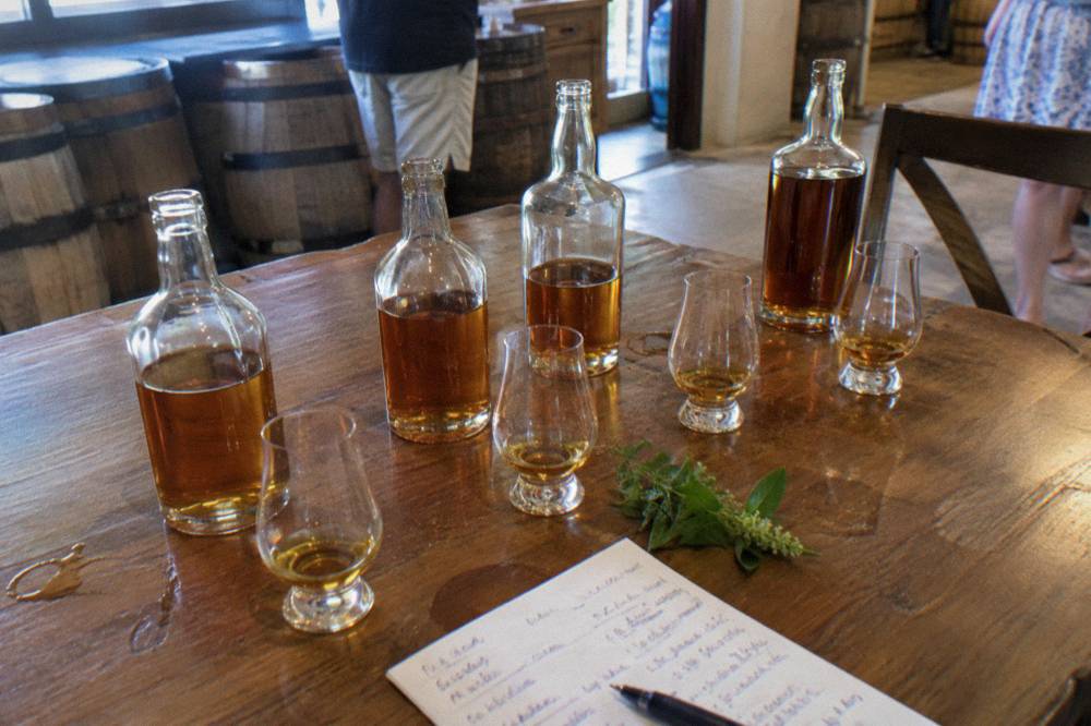 A row of rum bottles and tasting glasses arranged on a wooden bar counter