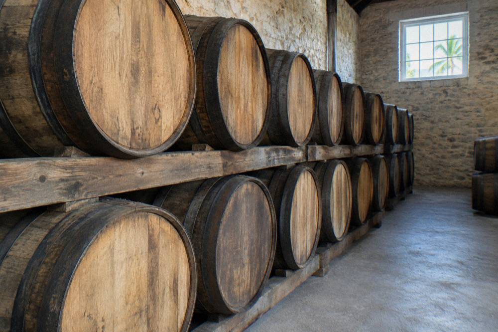 White oak barrels stacked in a dimly lit rum storehouse