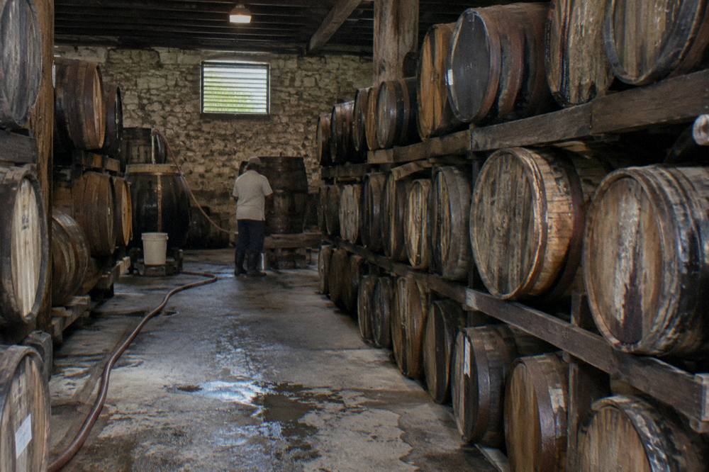 Rum barrels stacked in a dimly lit distillery storehouse
