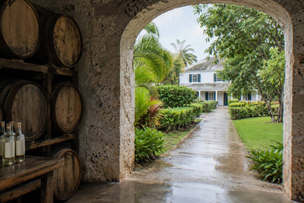 Colonial era estate garden with palm trees and a stone pathway beside a historic building