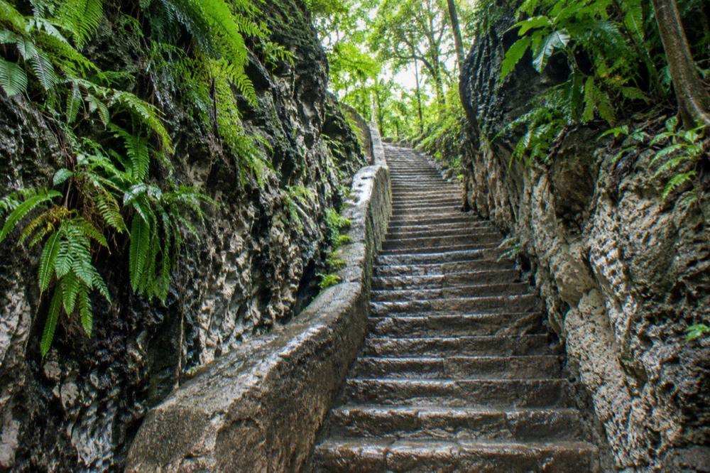 A stone staircase carved into a limestone hillside beside tropical foliage