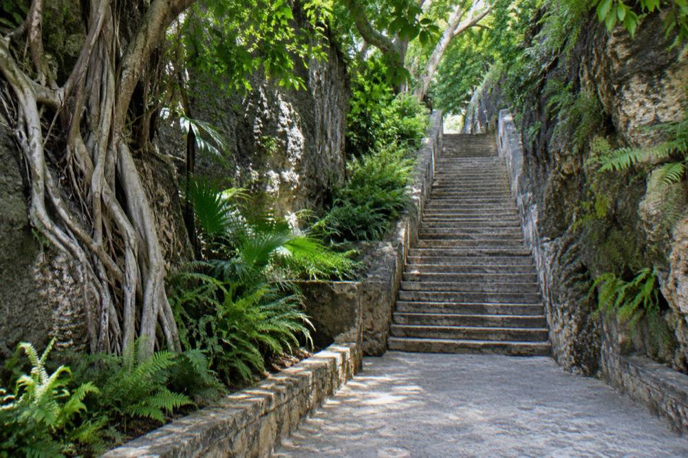 A limestone staircase carved into a hillside with tropical plants on both sides