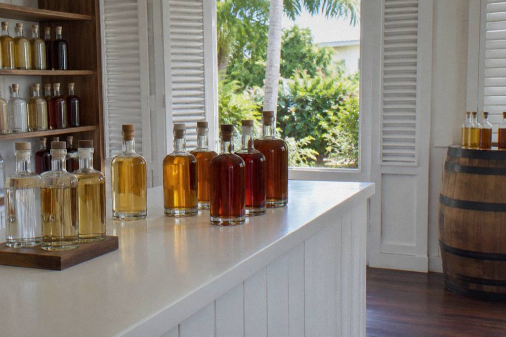Bartender tools and rum bottles lined up on a distillery bar before a cocktail class