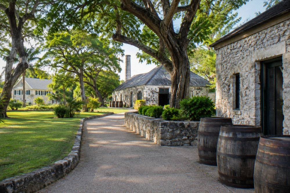 Rows of oak rum barrels stacked in a stone storehouse