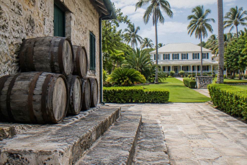 Tropical garden path with palm trees and a historic white estate building