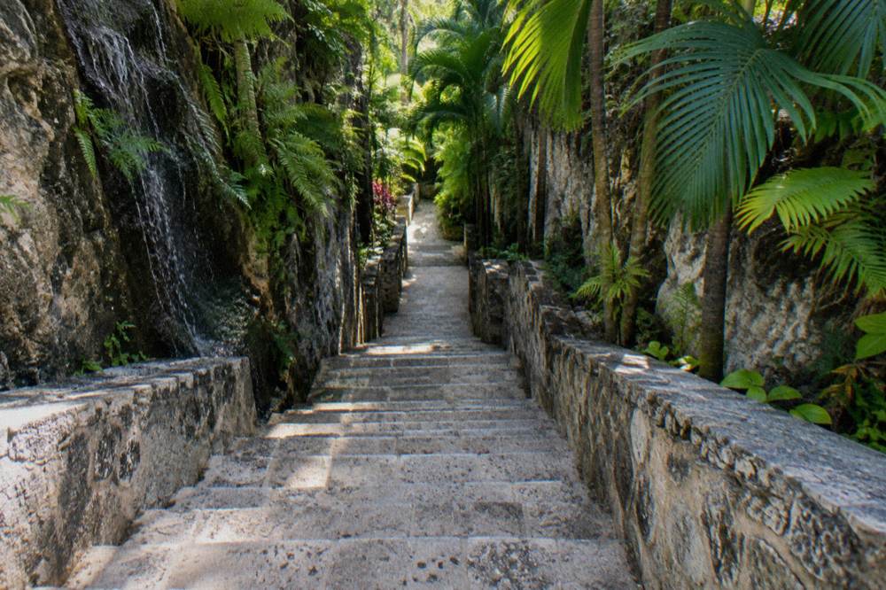 Limestone staircase carved into a rock face with tropical plants on either side