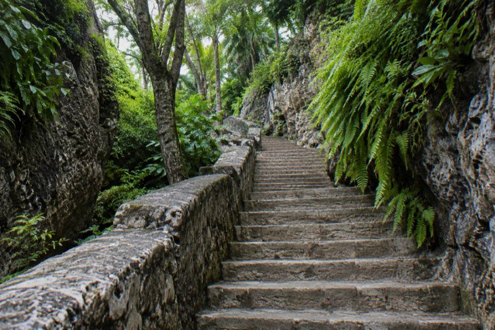 A hand-carved limestone staircase bordered by rock walls and greenery
