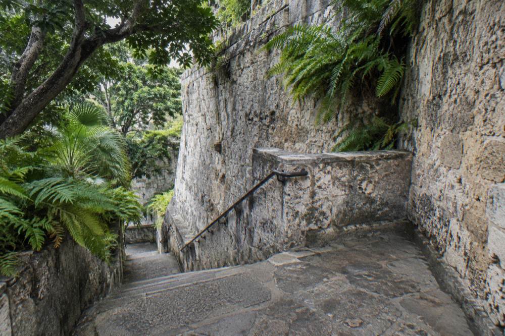 Hand-carved limestone staircase shaded by trees with stone walls on both sides